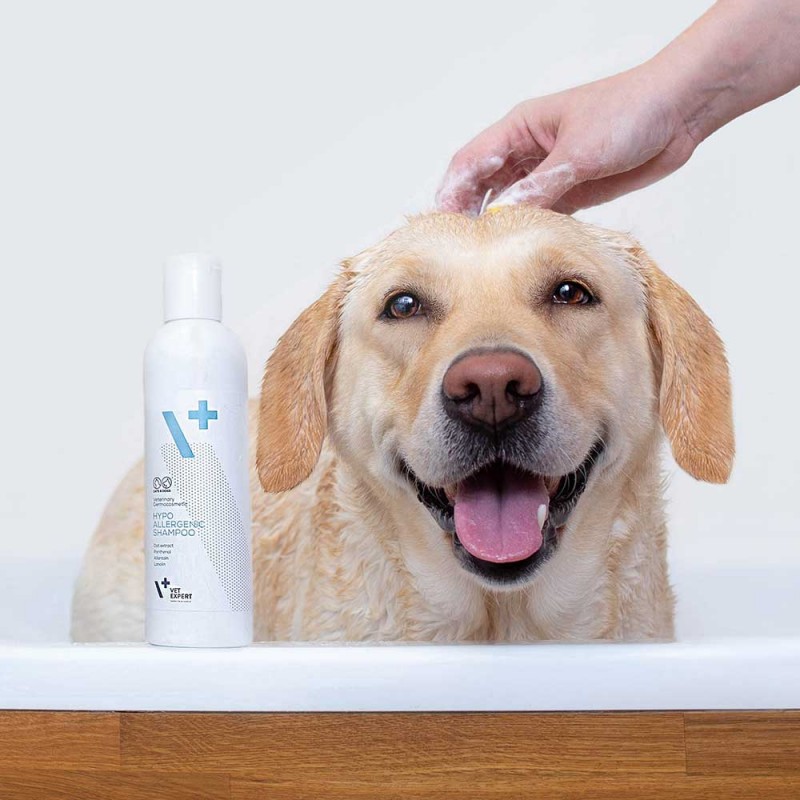 szampon hipoalergiczny dla psa szceniaka