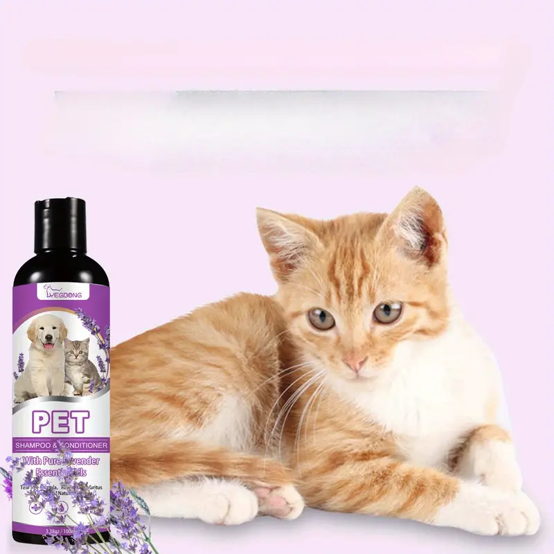 szampon nawilżający skórę dla kotów