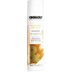 toni&guy odżywka do włosów zniszczonych wizaz